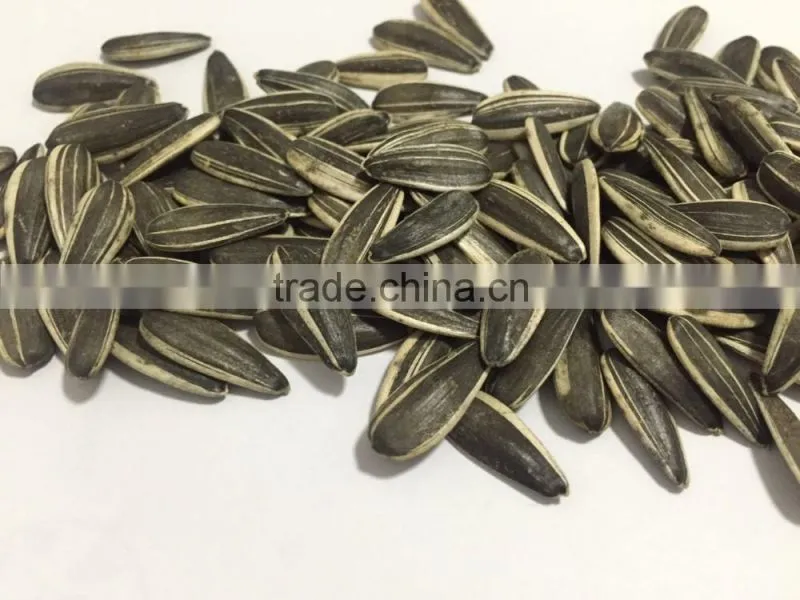 Chinese wholesale Sunflower Seeds with Good Quality 2015 New Crop 5009 363 0409