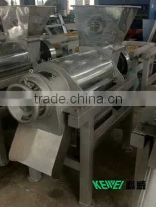 food fruit Apple/Pear/Carrot/Ginger/ Fruit Juice Extractor