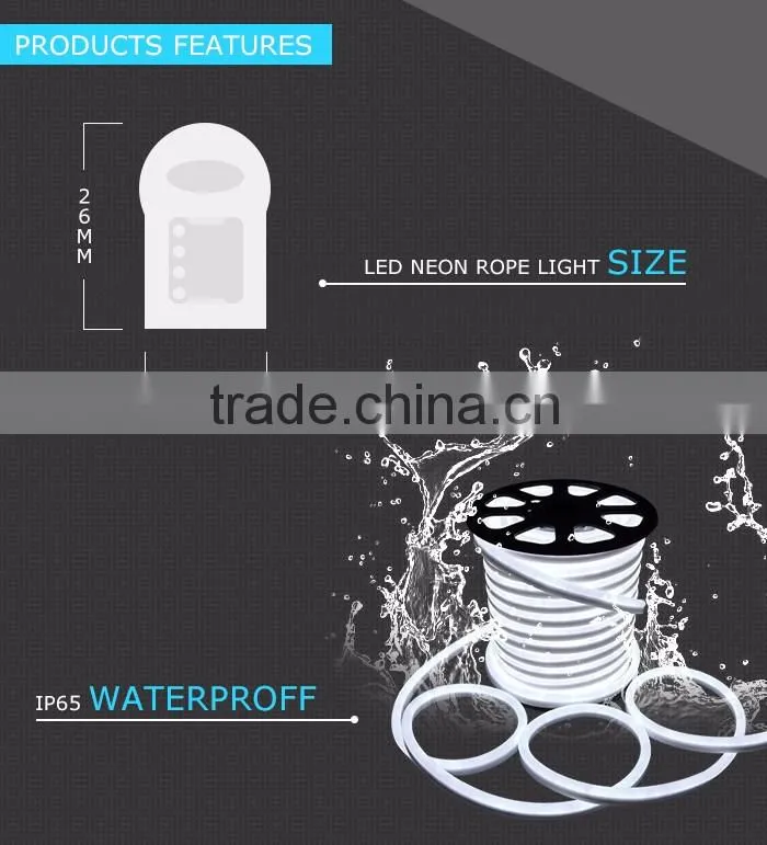 220V/240V RGB LED Neon Rope Light from RG Lighting Factory