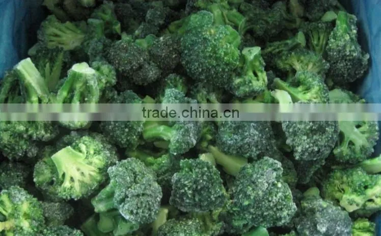 2015 Chinese New Crop high quality grade A low price China IQF FROZEN BROCCOLI