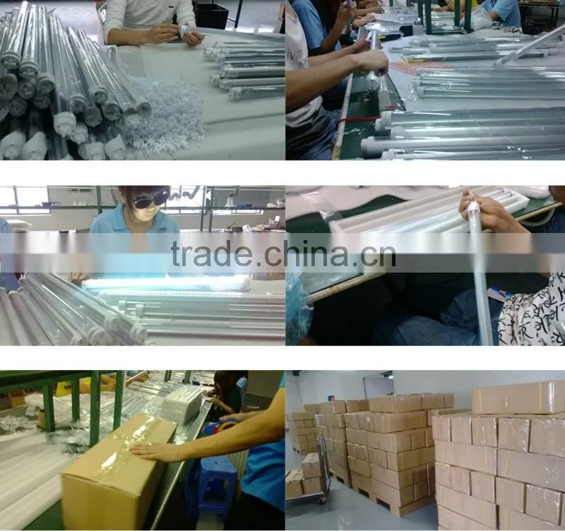 180 degree t8 blue tube saa tube led tube 8tube ani