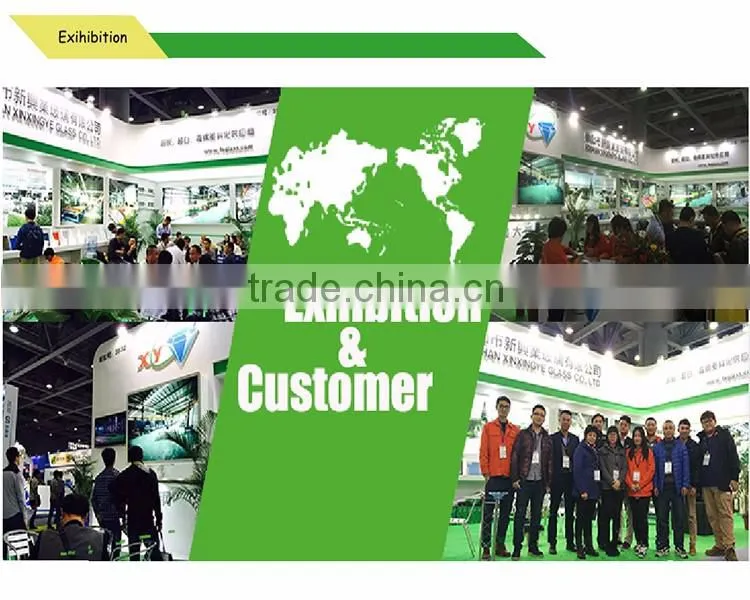 white laminated safe glass exporter