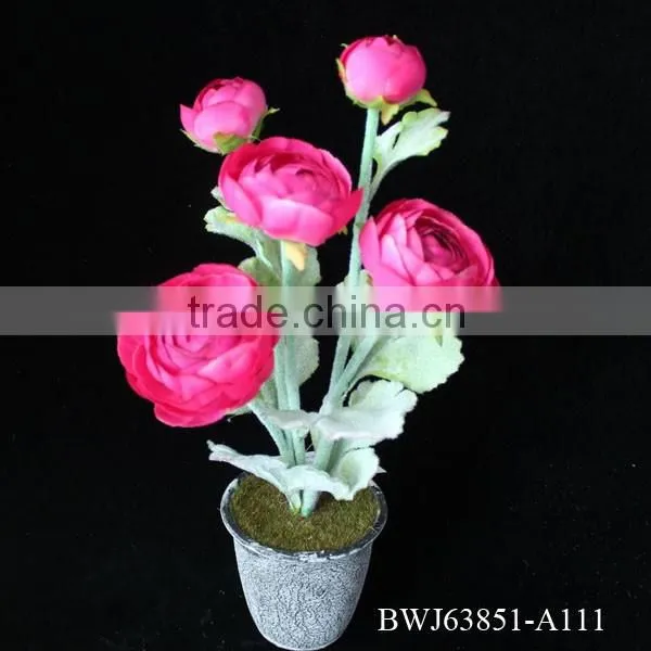 Natural rose flowers, cut flowers