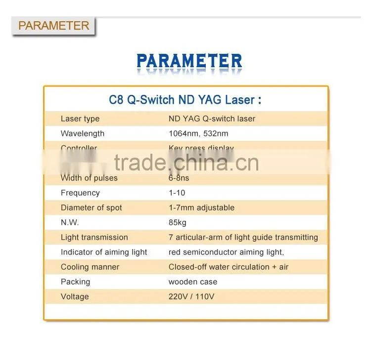 Merry christmas! Professional Q Switch ND yag laser chloasma removal machine