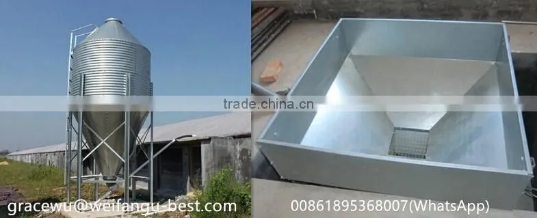 advanced design automatic farming equipment for broilers and chickens