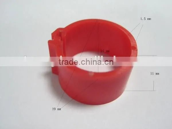 pigeon & poultry ring