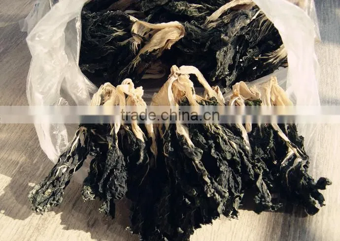 Hot Commercial Fishing Drying net