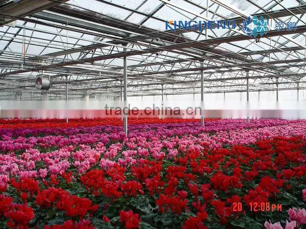 Solar Arch Greenhouse for Vegetables