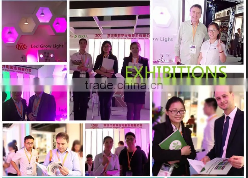 UV Light Lamp Malaysia Greenhouse Horticulture Used LED Grow Light