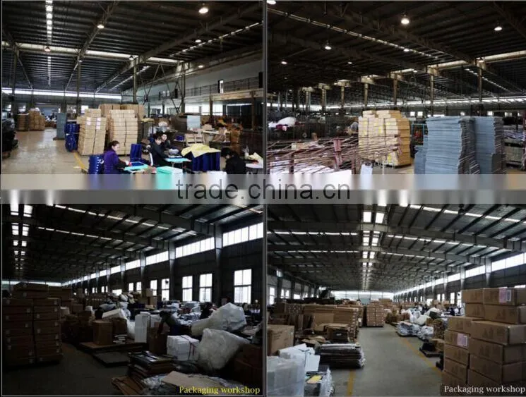 2016 Hight quality Aluminum, Dimmable Electrical Ballast / Dual E-Ballast for Plant Grow
