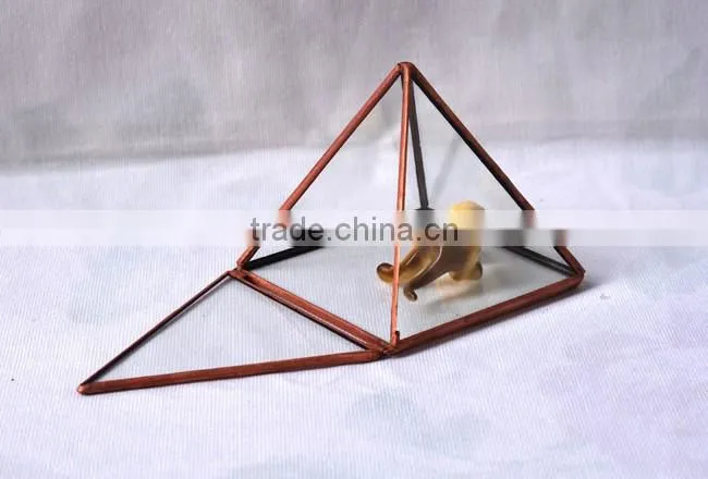 Pyramid shaped glass terrarium for indoor plant holder