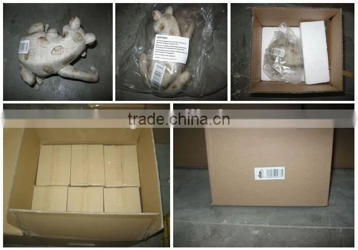 Feeder, Bird Feeder ,Bird Feeder Wholesale