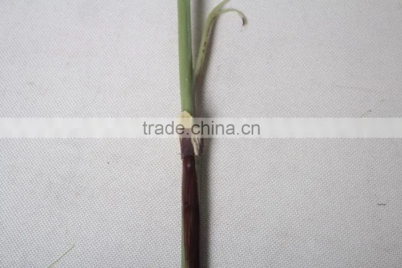 Decorative Artificial Flower Making For Decoration