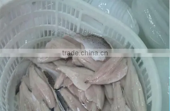 Frozen seabass fillets 5-7oz,7-9oz lateolabrax japinicus for Middle East Market