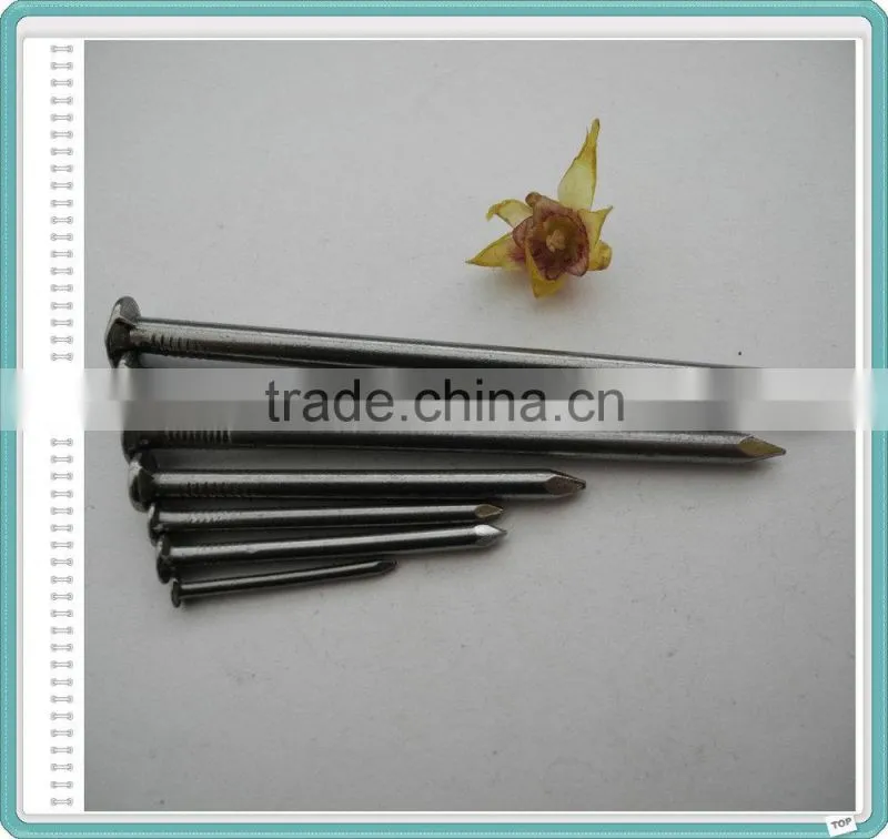 high quality common wire nail iron nal factory