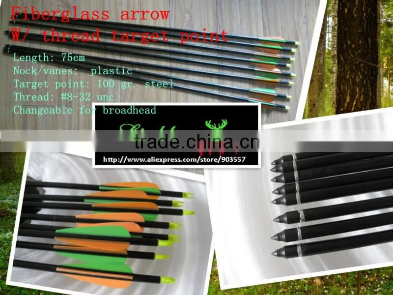 Archery hunting arrows Glass fiber arrow with thread point
