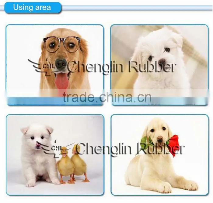 High quality TPR dog leashes and collar , mosquito repellent dog leashes and collar