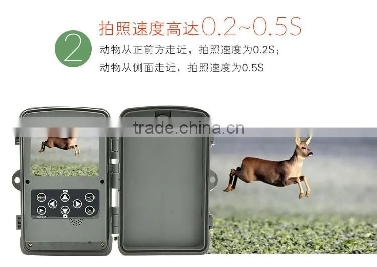 Full HD 12MP outdoor wildlife Hunting Game Cameras factory supplier Hunting Camera