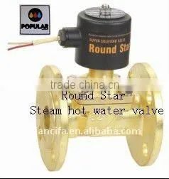 2 way steam brass Solenoid Valve (RSPS-20N)
