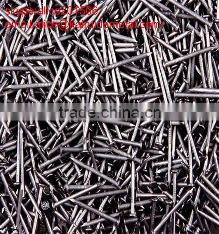 common round iron wire nail,common iron wire nail