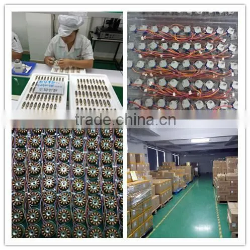 Brushed DC Motor for Home Appliance Electric Motor for Car