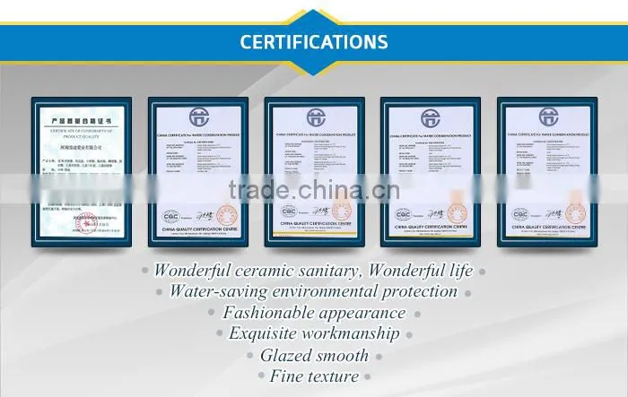 Lodo Ceramic Modern Water Clost With Plastic Toilet