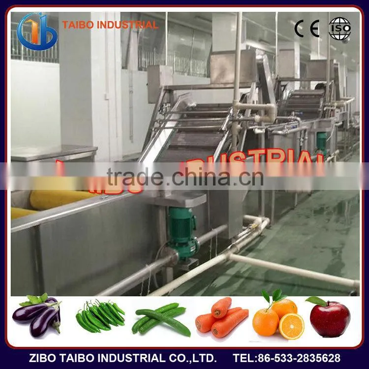 Industrial Fruit Vegetable Washer (with hair roller for purification)
