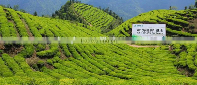 green pills vietnam vietnam oolong vietnam green japanese green tea
