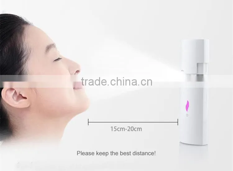 EveryLady 4ml battery negative ion face steamer