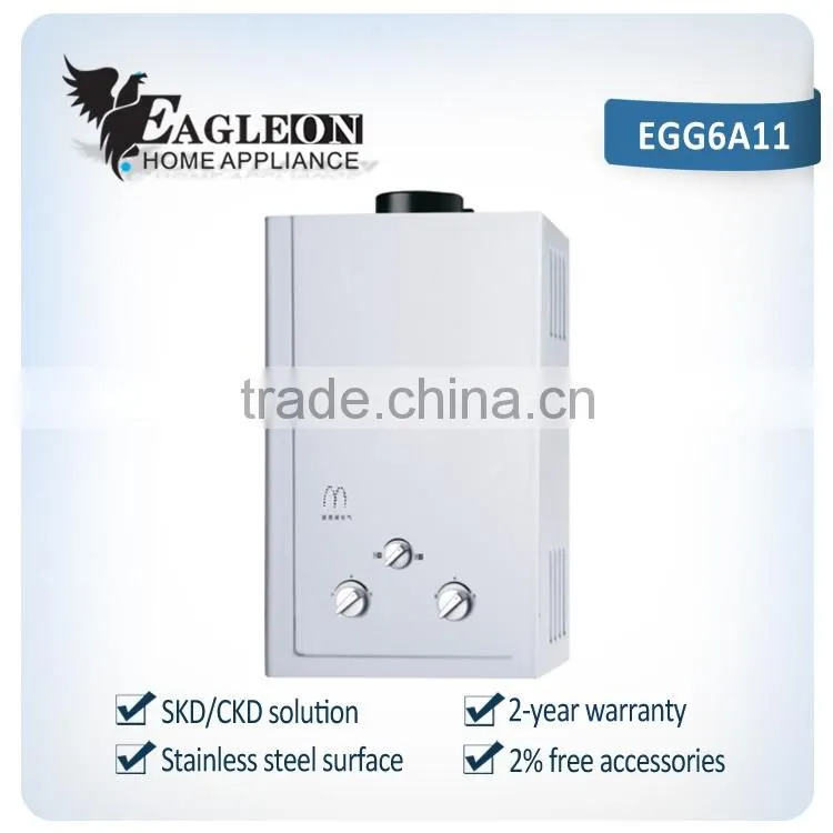 High efficient 6L stainless steel Portable Instant Flue type Gas Water heater EGG6A11