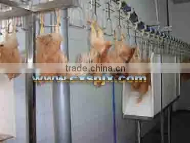 High quality long lifetime Poultry slaughtering processing line/ stunning machine
