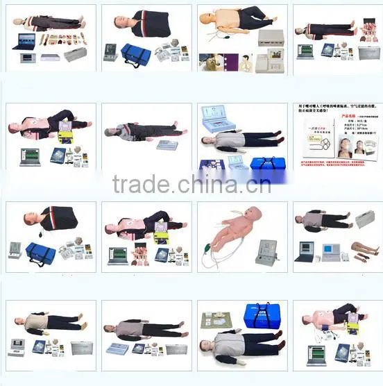 Human acupuncture model 100% factory