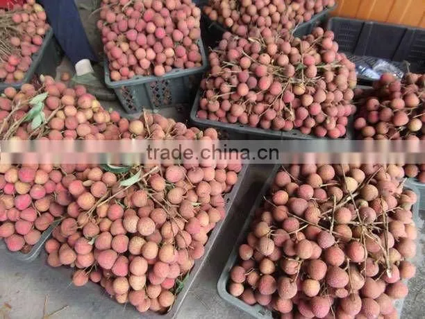 2016 Fresh Fruit Lichee from China