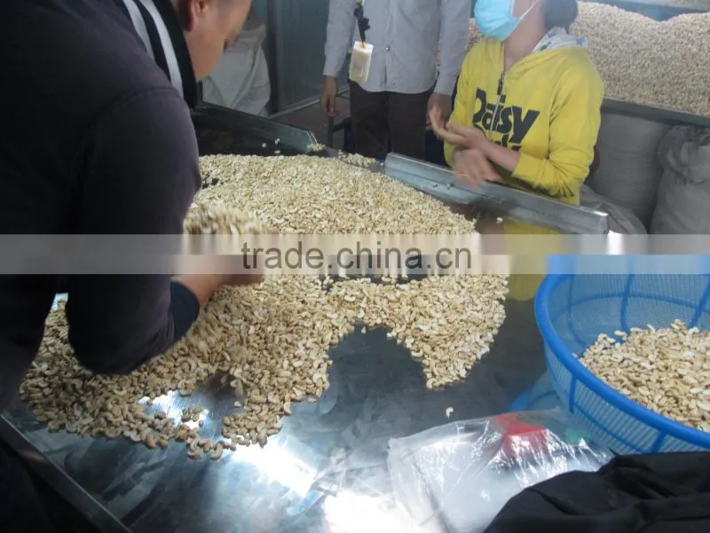 VIETNAM CASHEW NUT
