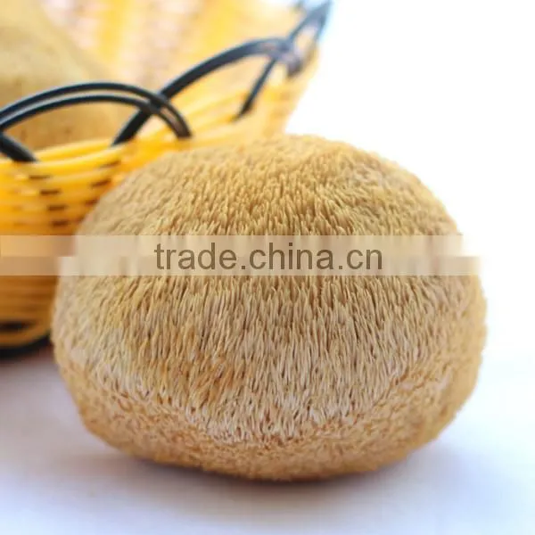 Wholesale Organic Dried Lion's Mane Mushroom, Monkey Head Mushroom