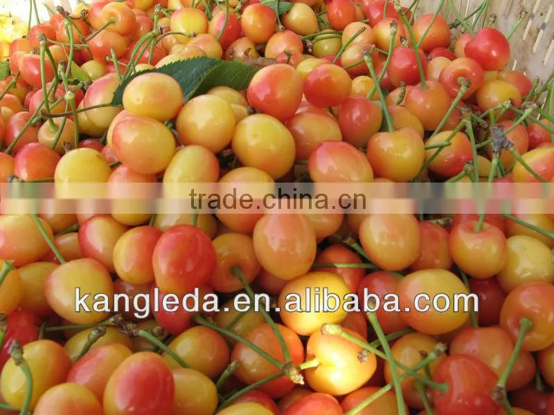 Dried Cherry Fruit/Kiwi, Peach, Strawberry, Fig