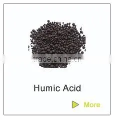 kitten litter bentonite cat litter