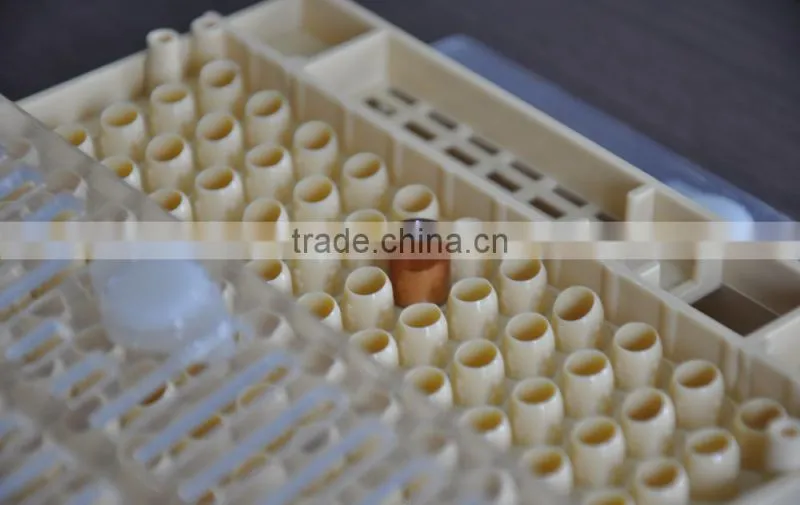 apiculture tools beekeeping queen rearing