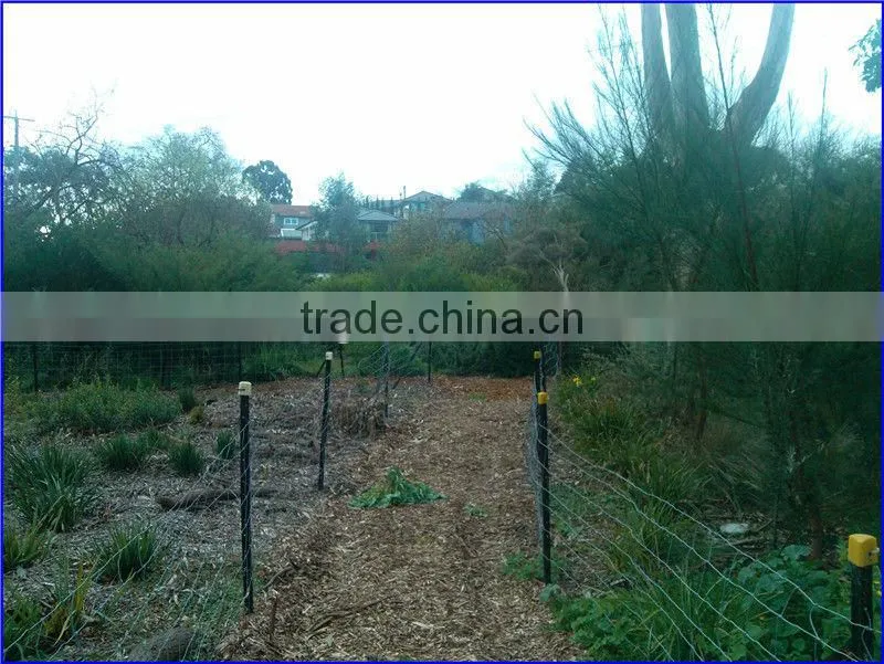 High quality Hot-dipped Galvanized Y fence posts for wire mesh fence panels