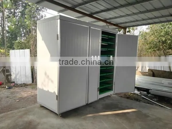 new type automatic barley sprout machine