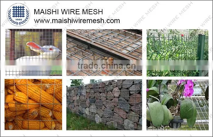 Welded Wire Mesh/Galvanized Welded Wire Mesh