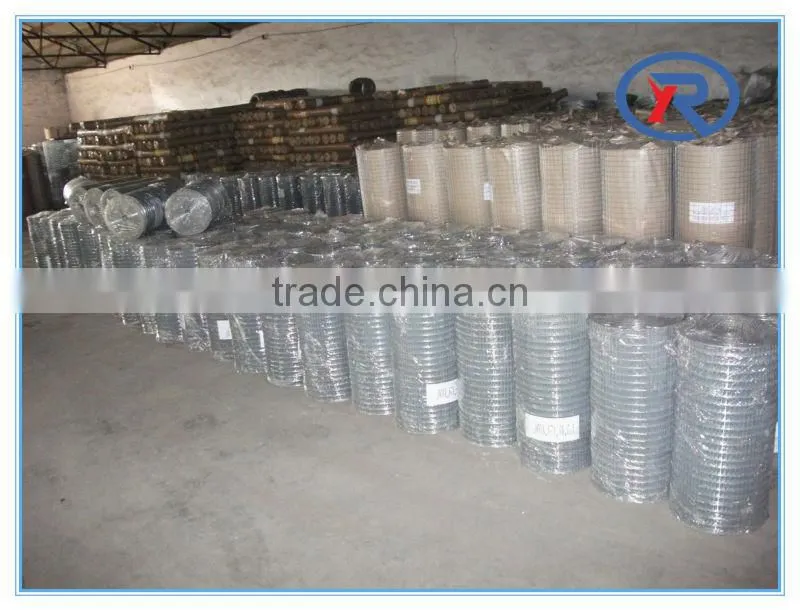 China lowest price galvanized hexagonal wire netting/decorative chicken wire mesh