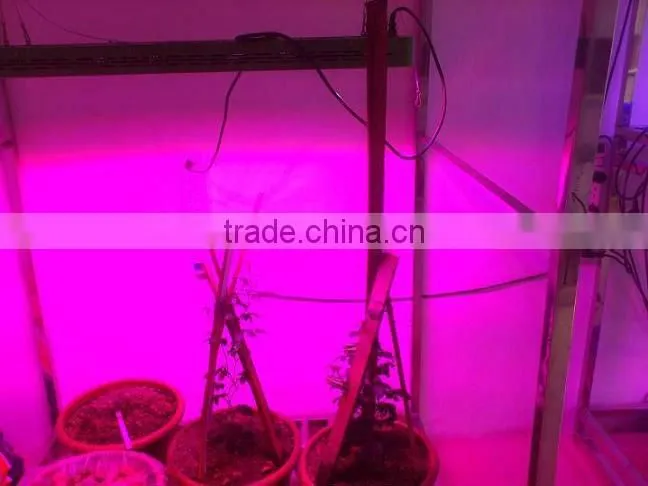 Hydroponic/Garden plants 288w led grow light lighting