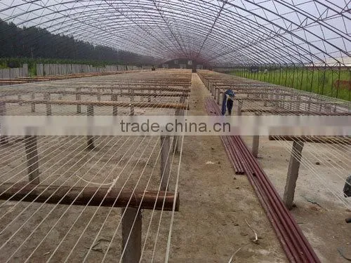polyester wire, pet wire monofilament wire, agriculture supporting wire