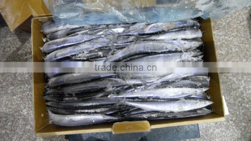 China frozen pacific saury 80-100g3# size for sale