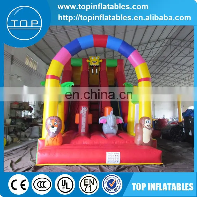 Giant water slide, child inflatable animal slide