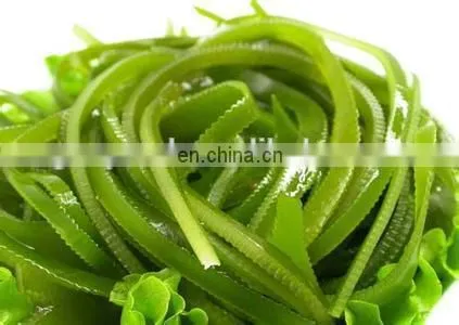 seaweed washing machine/Industrial washing drying machine/seaweed nitrate packaging machine
