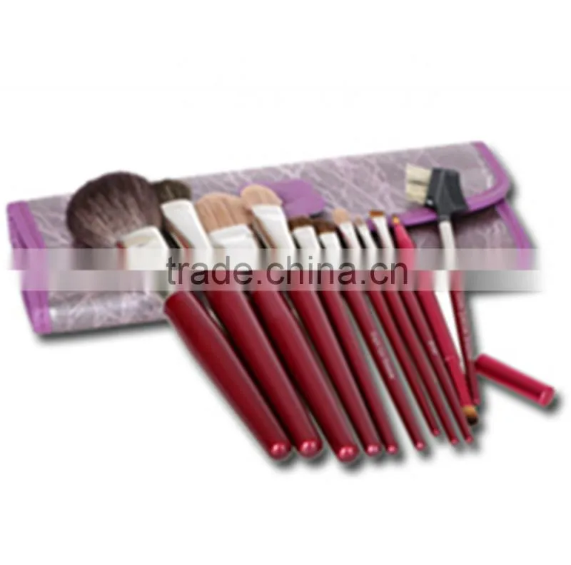 Professional 11pcs cosmetic makeup brush set