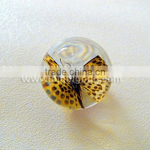 Transparent Acrylic Colorful Real Butterfly Marble Toys