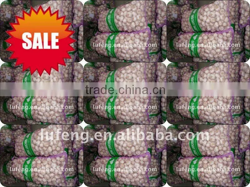 Fresh Pure White Garlic